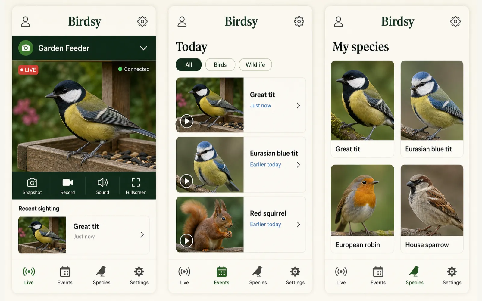 Birdsy — камера наблюдения за птицами: мобильное приложение, распознавание видов и отпугивание птиц на ЛЭП