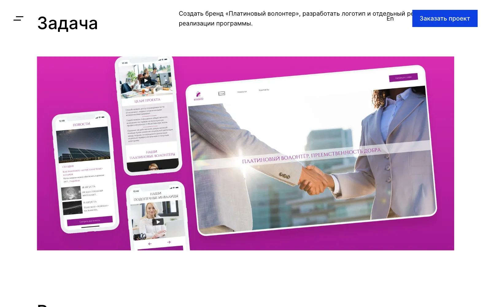 Платиновый Волонтёр — бренд и UX/UI сайта инклюзивной программы наставничества — Экран 2