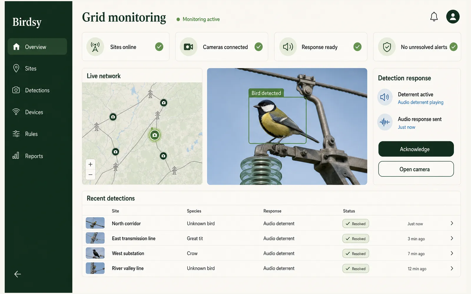 Birdsy — камера наблюдения за птицами: мобильное приложение, распознавание видов и отпугивание птиц на ЛЭП — Экран 4