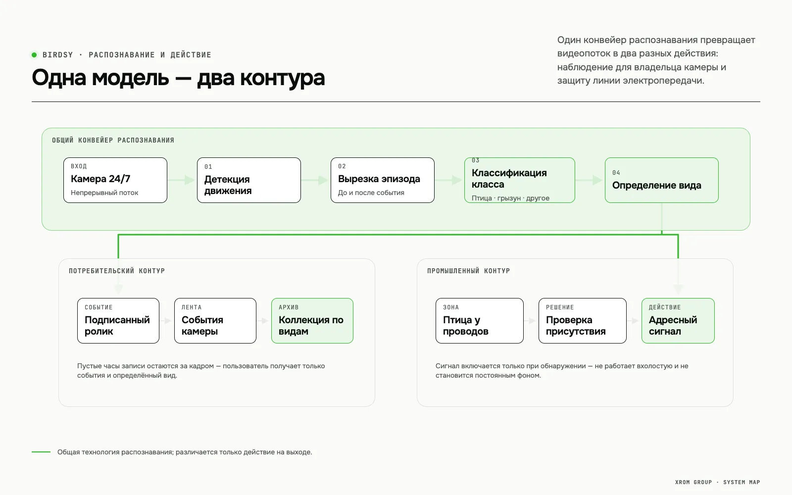 Birdsy — камера наблюдения за птицами: мобильное приложение, распознавание видов и отпугивание птиц на ЛЭП — Одна модель — два контура